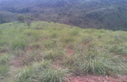 75 acre land for sale in Wayanad,  Kerala