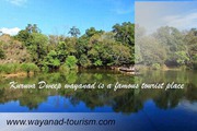 Best of Wayanad tourism packages 