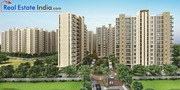 4 BHK Apartments for Sale in Dwarka,  Delhi