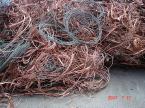  Copper Scrap,  Wooden Scrap,  Plastic Scrap